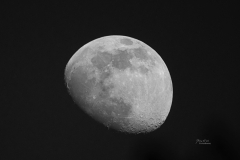 Mond-SW-120222
