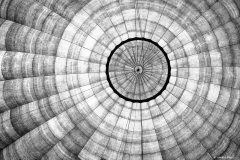 Harald-best-of-2025-3-von-8