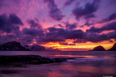 Harald-best-of-2025-4-von-8