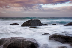 Harald-best-of-2025-5-von-8