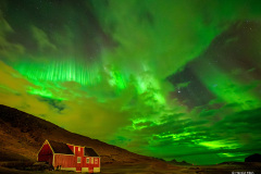 Harald-best-of-2025-6-von-8