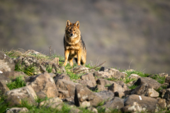 P1040597-Bearbeitet-2