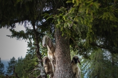 <b>"Versteckt"</b> | Canon80D | Canon 24 mm EFS  | f 2,8  | 1/160| ISO 100