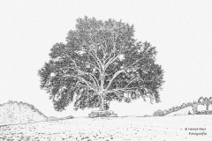Jahresbaum