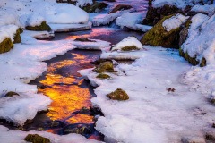 HE_202601-202601261731_6051