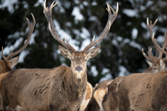 P2193024-Bearbeitet-2