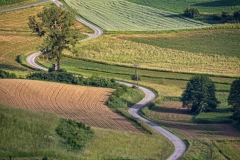 Steiermark 2021