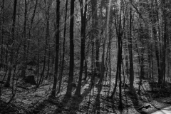 Frühlingssonne-küsst-letzten-Schnee