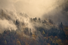 Herbstnebel II