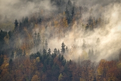 Herbstnebel I