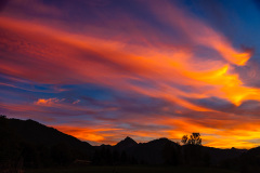 HE_202511-202509072044_5204