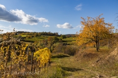 Herbstgewand