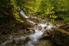 PA092857-Bearbeitet-Bearbeitet
