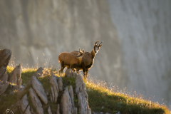 P9080906-Bearbeitet-Bearbeitet-2