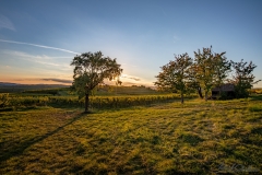 Sonnenuntergang am Käferberg