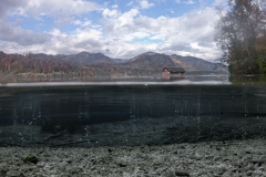 Almsee