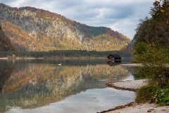 Almsee-081022