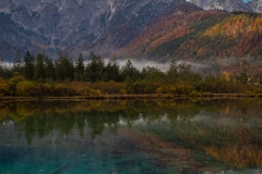 MG_7450