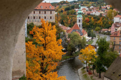 MG_1244-Kopie
