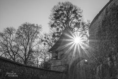 Burg-2-Salzburg-060222