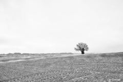 Ackerland