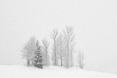 Minimalismus