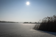Gefrorener Wallersee