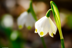 HE_202603-202603041357_7220