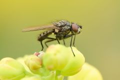 26-04-19_Makro_0051_Web