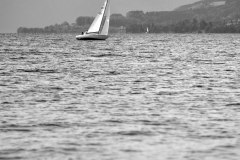 FPL0648_01