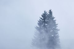 Streeter_Gusswerk_251101-006_Web