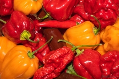 Chilli