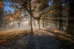 Herbstimpressionen-FC