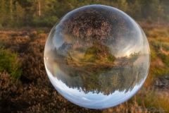 Moorgesicht in de Glaskugel