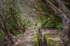 Levada