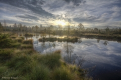 DSC_8713And10more_tonemapped-als-Smartobjekt-1